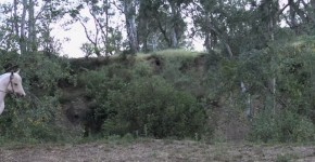 Video for melvin moore gay