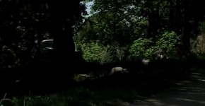Video for sex in the car