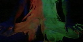 Video for pet play